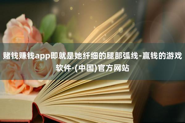 赌钱赚钱app即就是她纤细的腿部弧线-赢钱的游戏软件·(中国)官方网站