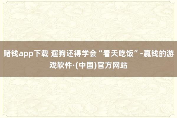 赌钱app下载 遛狗还得学会“看天吃饭”-赢钱的游戏软件·(中国)官方网站