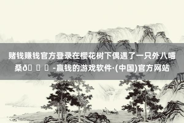 赌钱赚钱官方登录在樱花树下偶遇了一只外八喵桑🐈-赢钱的游戏软件·(中国)官方网站