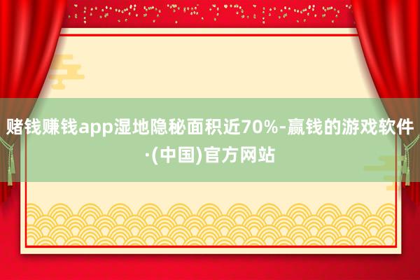赌钱赚钱app湿地隐秘面积近70%-赢钱的游戏软件·(中国)官方网站
