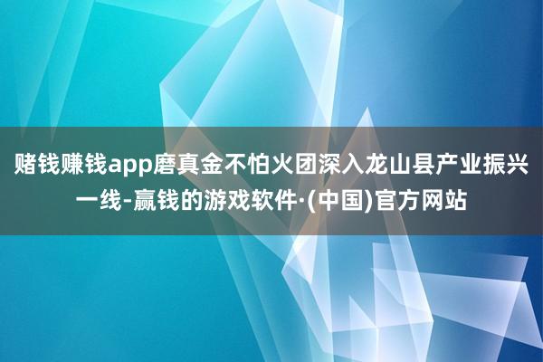 赌钱赚钱app磨真金不怕火团深入龙山县产业振兴一线-赢钱的游戏软件·(中国)官方网站