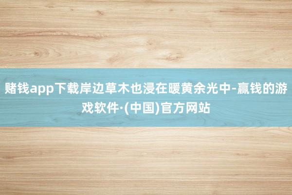 赌钱app下载岸边草木也浸在暖黄余光中-赢钱的游戏软件·(中国)官方网站
