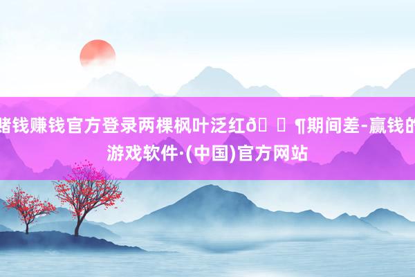 赌钱赚钱官方登录两棵枫叶泛红🈶期间差-赢钱的游戏软件·(中国)官方网站