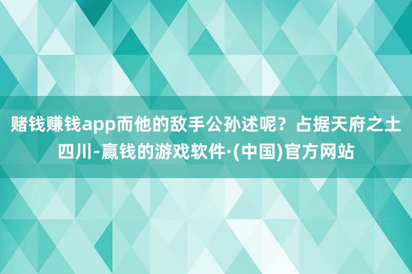 赌钱赚钱app而他的敌手公孙述呢？占据天府之土四川-赢钱的游戏软件·(中国)官方网站